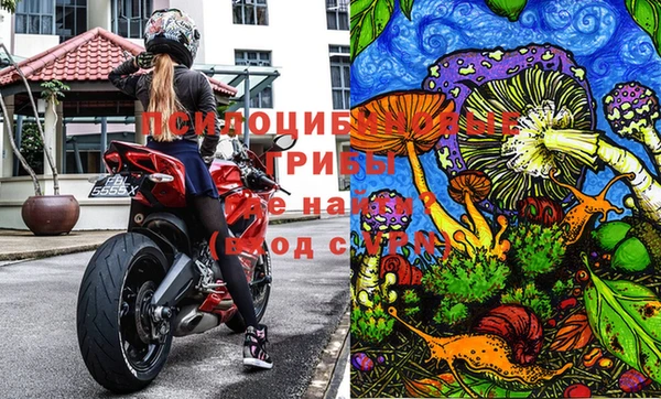 сатива Алзамай
